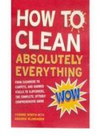 How to Clean Absolutely Everything By Yvonne Worth