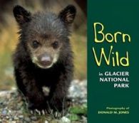 Jones, Donald M : Born Wild in Glacier National Park