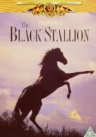The Black Stallion DVD (2003) Kelly Reno, Ballard (DIR) cert U
