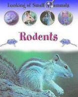 Looking at small mammals: Rodents by Sally Morgan (Book)