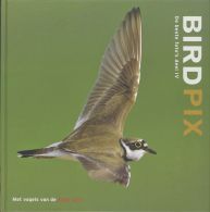 Birdpix / IV || de beste foto's deel IV
